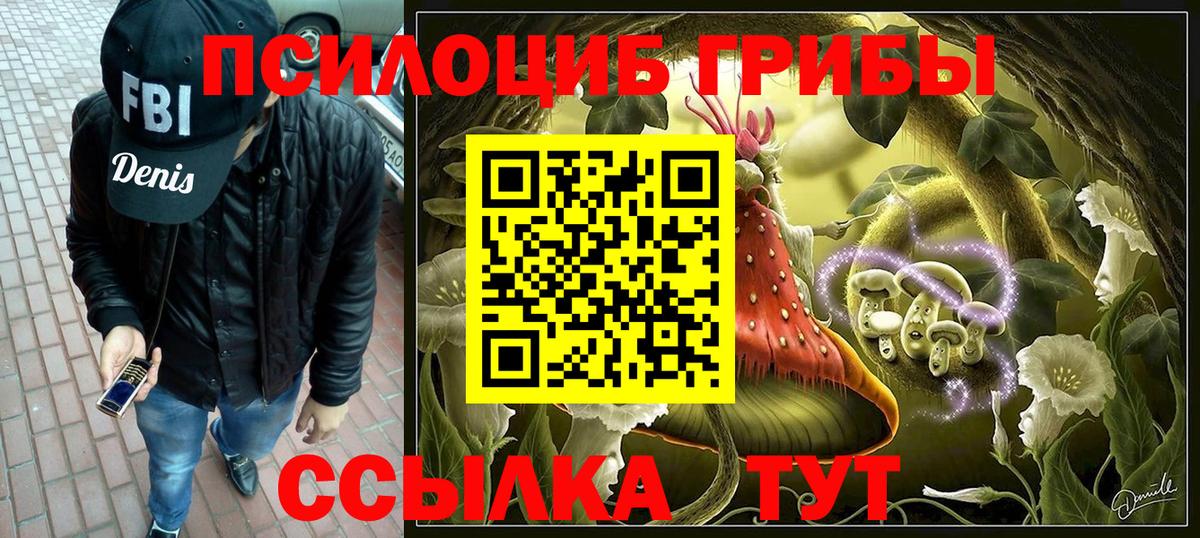 Кинешма  Галлюциногенные грибы Psilocybe  Вход с VPN 