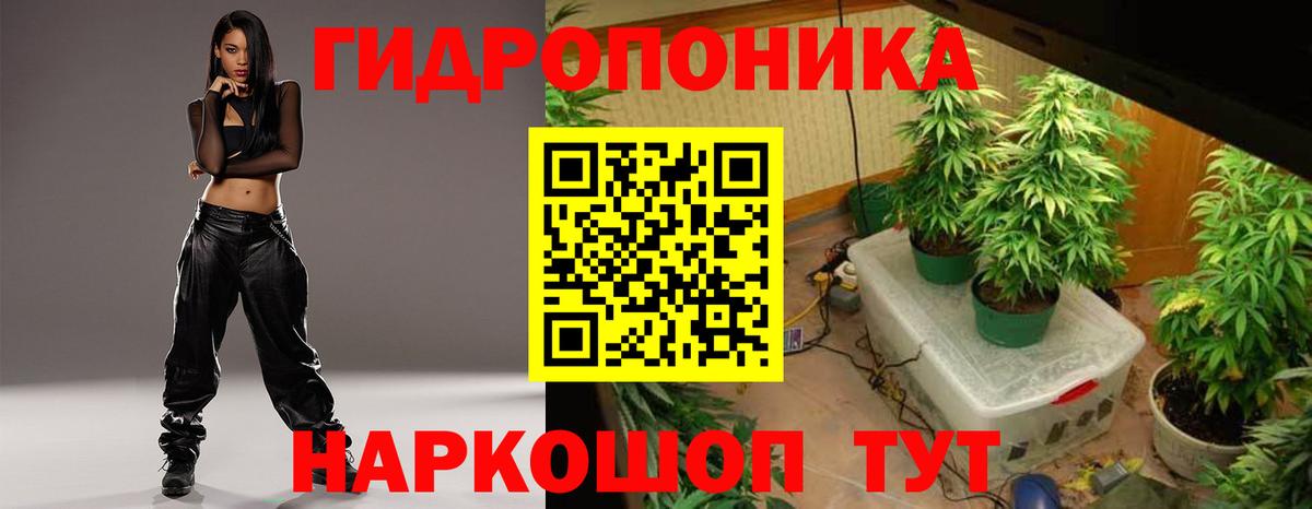 Шишки марихуана план Кинешма